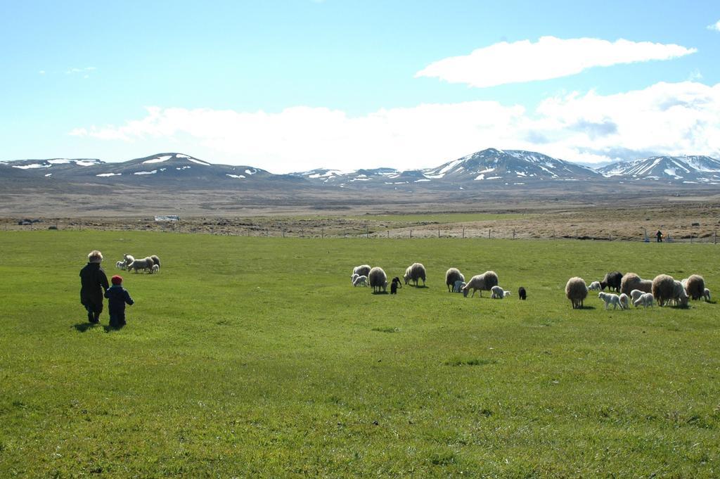 Villa Ytra Lon Farm Retreat Þórshöfn Exterior foto